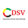 DSV